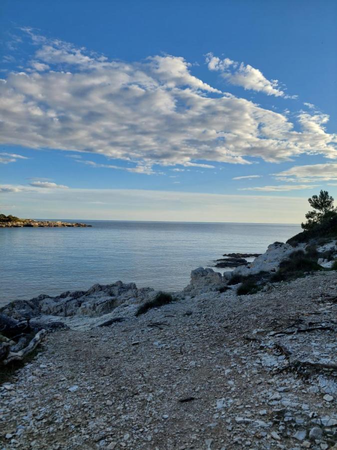 Pulabella Leilighet Eksteriør bilde